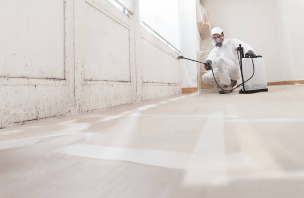 24/7 Emergency Mold Remediation experts in Newport, TN