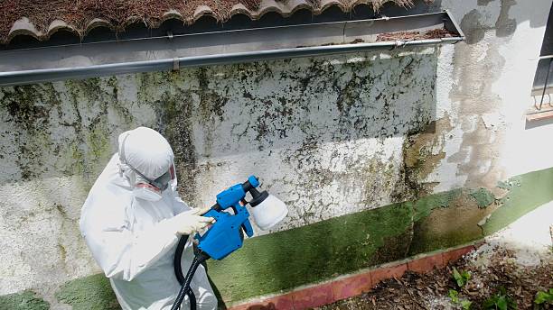Top rated local Mold Remediation specialists in Newport, TN